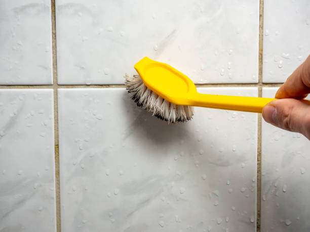 Best Toxic Mold Removal  in Linton Hall, VA
