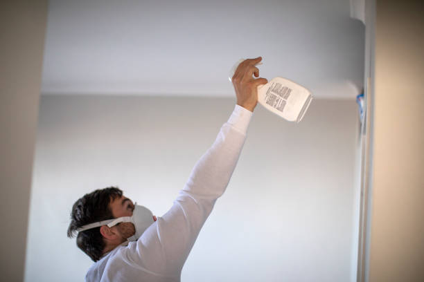 Best Local Mold Removal Service  in Linton Hall, VA