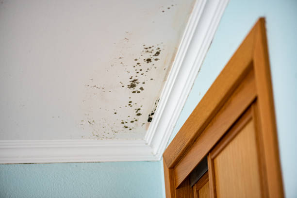 Water Damage Restoration in Linton Hall, VA