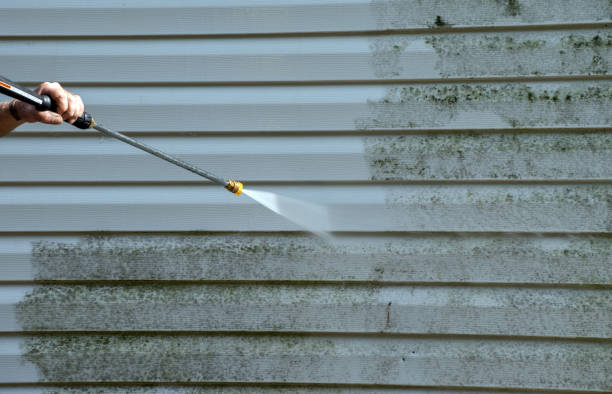 Best Mold Remediation  in Linton Hall, VA