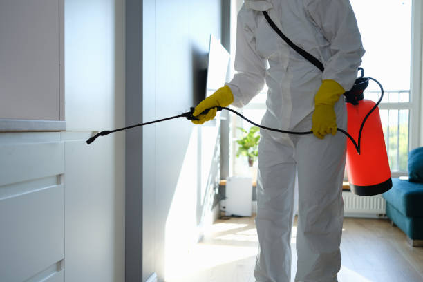Best Residential Mold Removal  in Linton Hall, VA